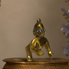 Ladoo Gopal -1"